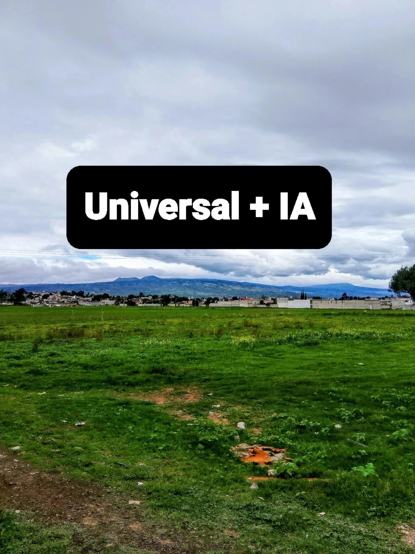 Universal IA 